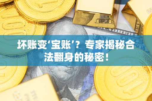 北京坏账变‘宝账’？专家揭秘合法翻身的秘密！