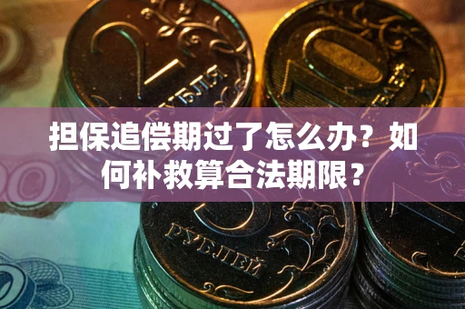 北京担保追偿期过了怎么办？如何补救算合法期限？