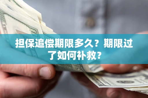 北京担保追偿期限多久？期限过了如何补救？