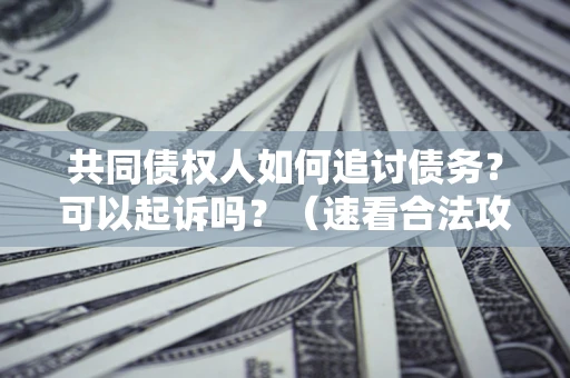 北京共同债权人如何追讨债务？可以起诉吗？（速看合法攻略）