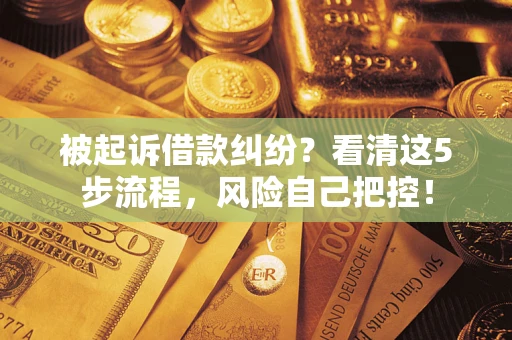 北京被起诉借款纠纷？看清这5步流程，风险自己把控！